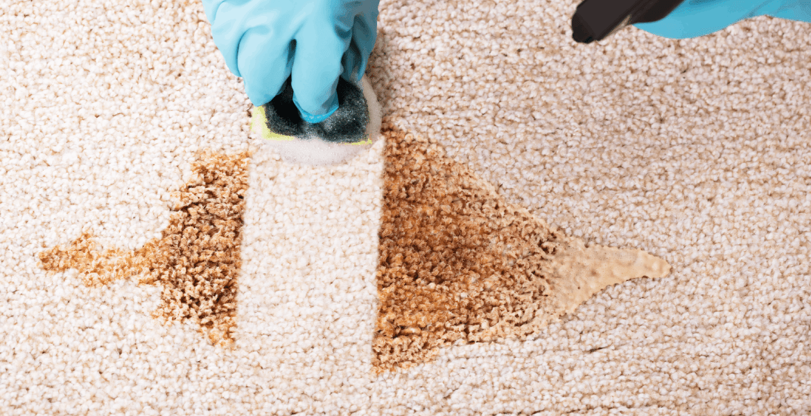 Maxy Cleaning